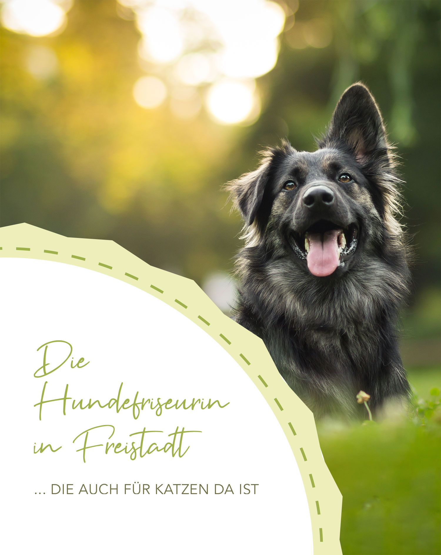 Die Hundefriseurin in Freistadt