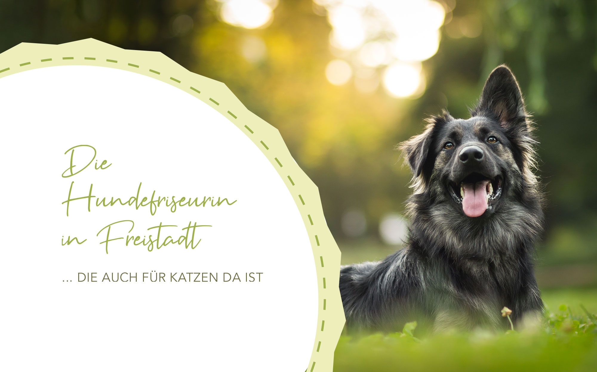 Hundefriseurin, Freistadt