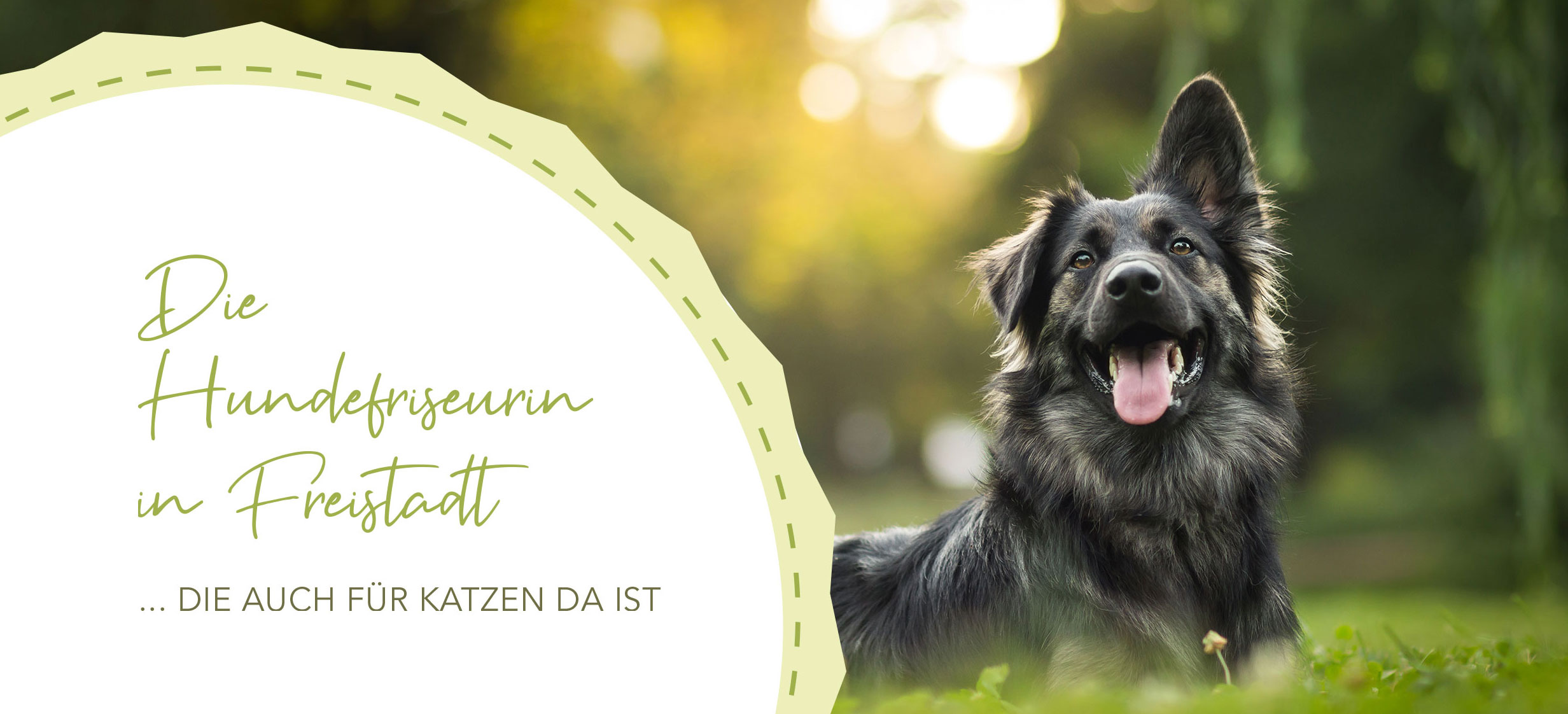 Eure Hundefriseurin in Freistadt